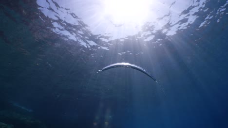 bajo el agua cerca de la superficie con el cielo vista del paisaje oceánico rayos de sol rayos del sol y burbujas de aire lentamente relajantes fondos oceánicos