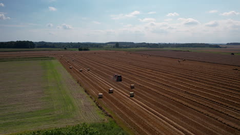 cinematic wide shot showing tractor on farm field harvesting wheat during summer season - drone shot