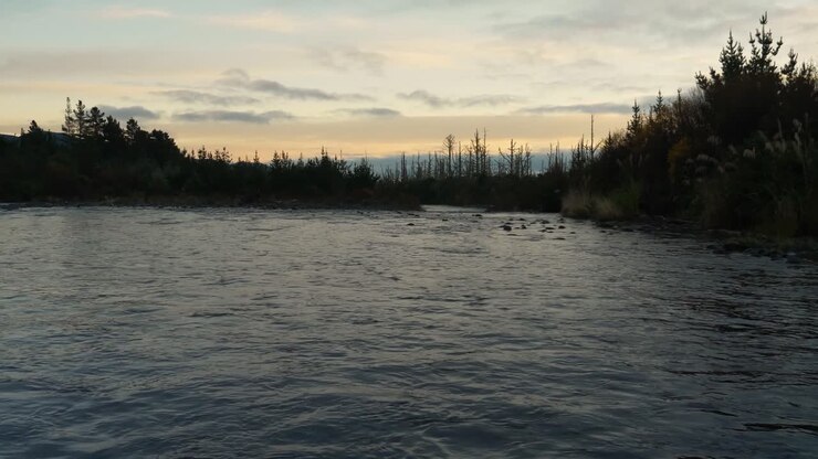 Wild River at Evening and Forest Background, Slow Ascending