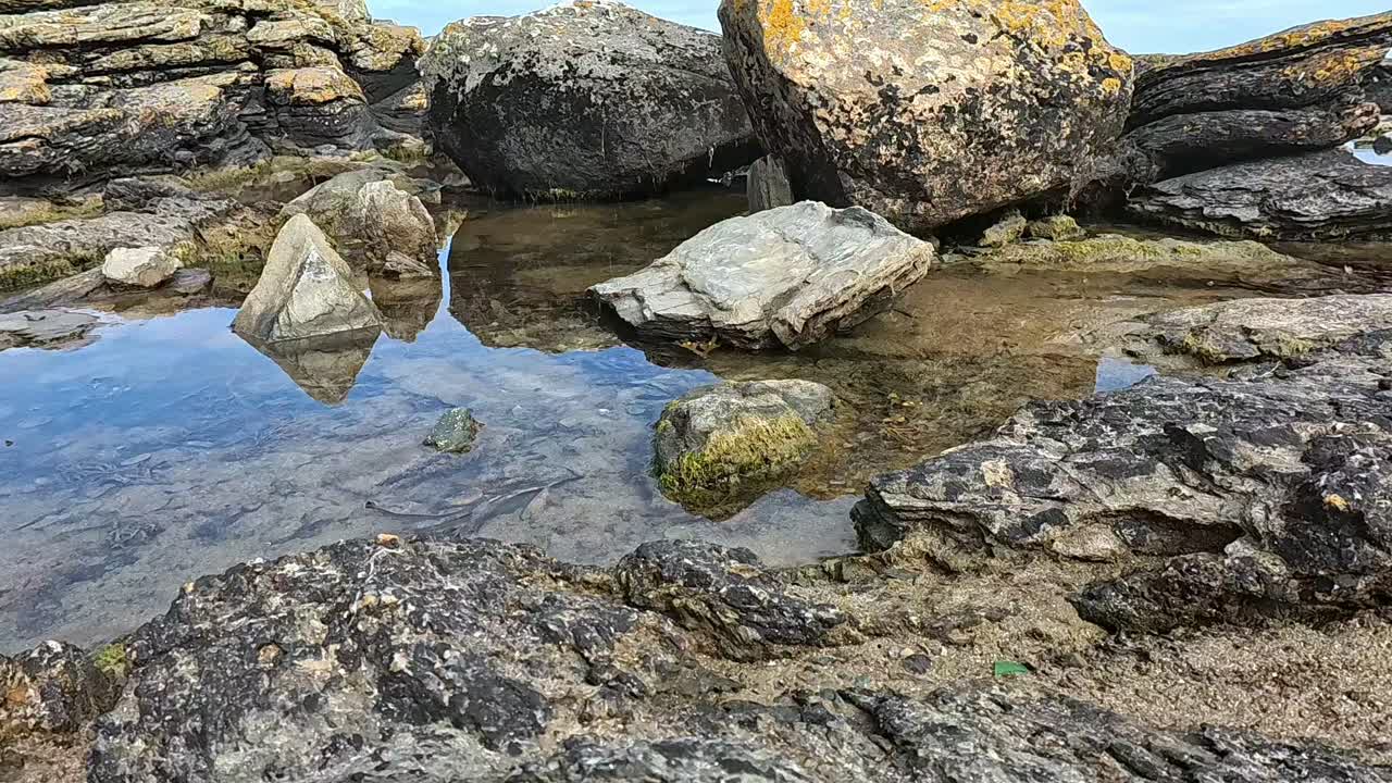 Lavt, højre-glidende kamera bevæger sig hen over strandklipper og fanger indfanget havvand, der spejler den stemningsfulde himmel ovenover. Ideel til meditative eller naturdokumentarer.