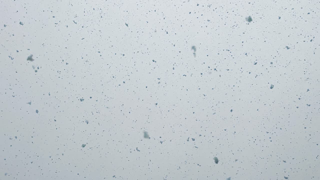 copos de nieve cayendo durante el invierno. - pov ángulo bajo