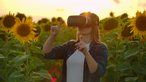 the girl farmer manager with long hair in plaid shirt and jeans is working in vr glasses. she is engaged in the working process. it is a wonderful summer evening in the sunflower field at sunset.