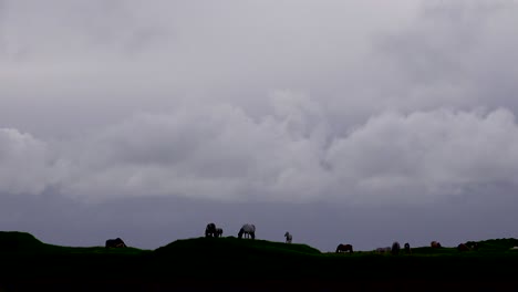 Los-Caballos-Islandeses-Patean-Y-Juegan-En-Silueta-En-Una-Colina-Solitaria