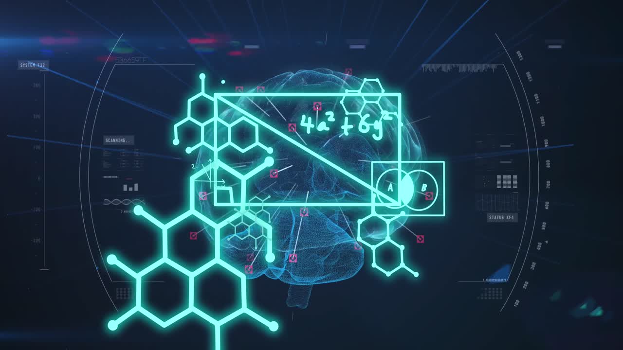 Animation of human brains and data processing