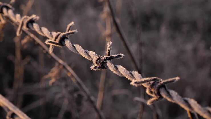 Dettaglio ravvicinato di una recinzione di filo spinato in una zona rurale della Scozia in inverno a Perthshire, Regno Unito