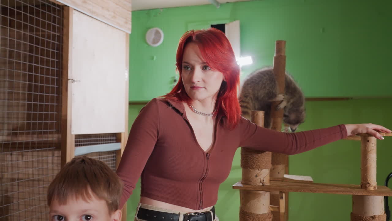 Женщина и мальчик встречают енота на башне; рыжеволосая женщина ведет ребенка, а енот стоит на кошачьем дереве в теплой студии с деревянными столбами. Игривое обучение, нежный зрительный контакт, вознаграждение лакомством, любопытство
