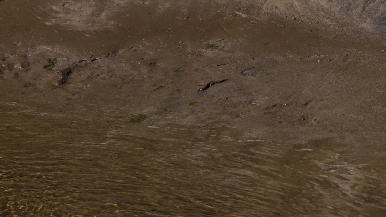 Close-up view of gently rippling water on a brown sandy riverbank