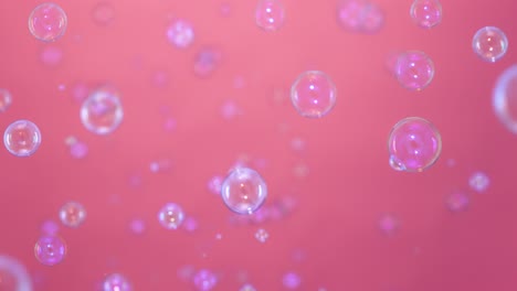 beautiful colored soap bubbles fly indoors on a pink background beautiful colored soap bubbles fly indoors on a pink background round bubbles flying in the air and sparkling with rainbow patterns childrens soap games colorful festive background for holiday birtay or party close up slow motion