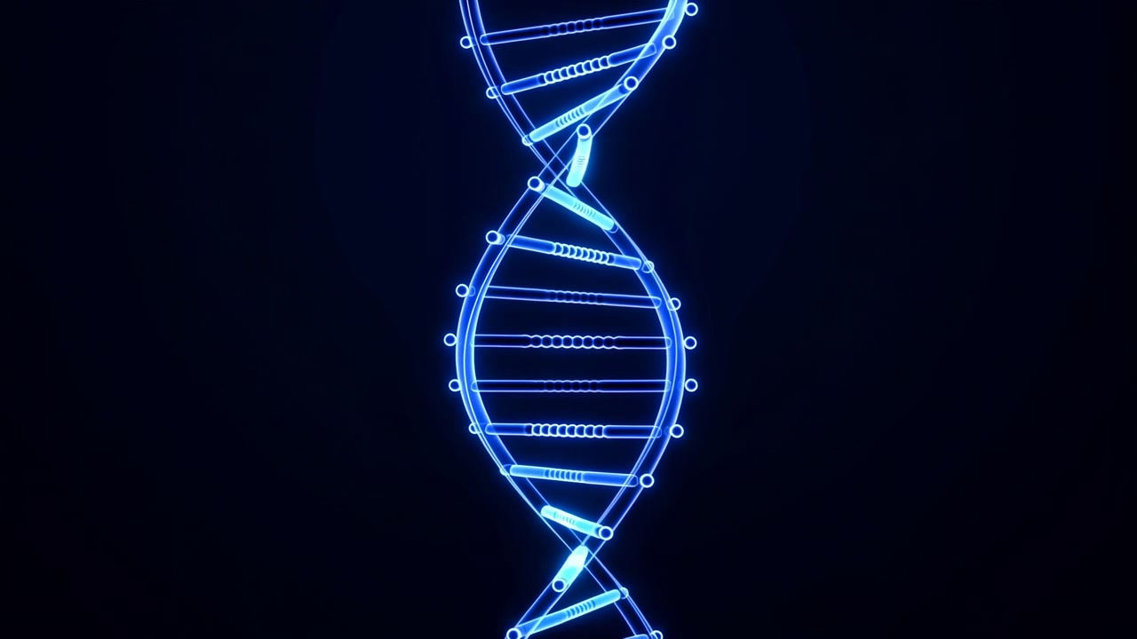 Hélice de DNA azul brilhante girando lentamente em fundo de estúdio escuro, nódulos de néon pulsando ao longo da espinha dorsal, digital.