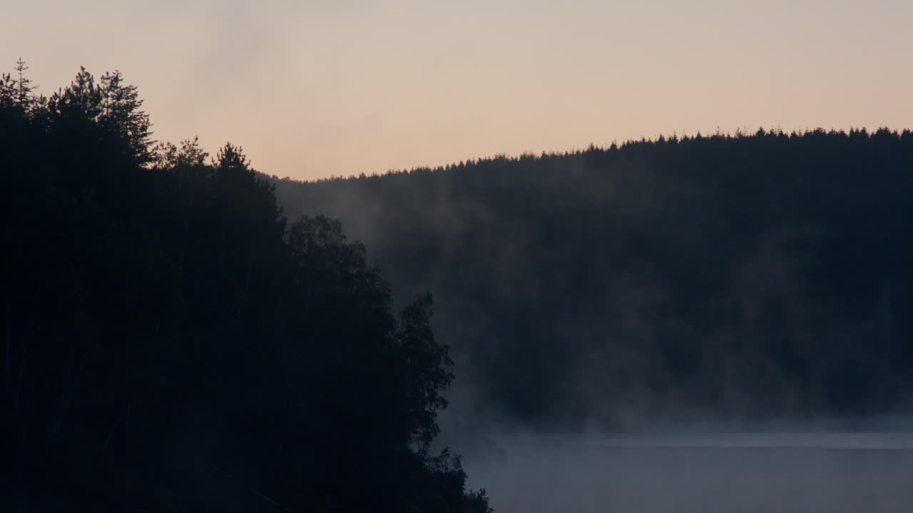 High quality video shows a calm morning lake wrapped in soft mist with gentle sunlight rising behind a dark forest line creating a serene and atmospheric nature moment