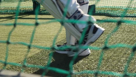 Cricket-player-walking-on-the-pitch-during-a-practice-session