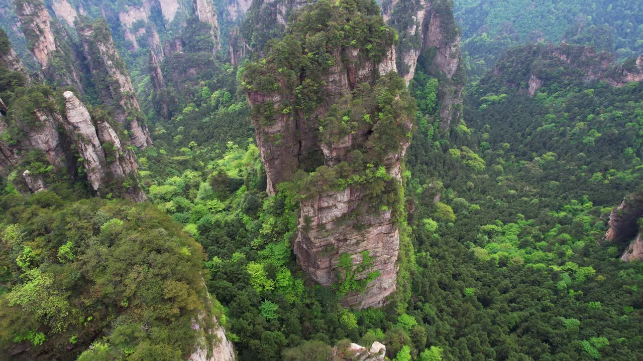Ripresa aerea con tilt verso il basso che rivela vegetazione che cresce intorno a pilastri carsici nel villaggio di Huangshi