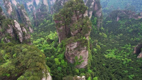 aerial tilt down shot reveals vegetation growing around karst pilars in huangshi village