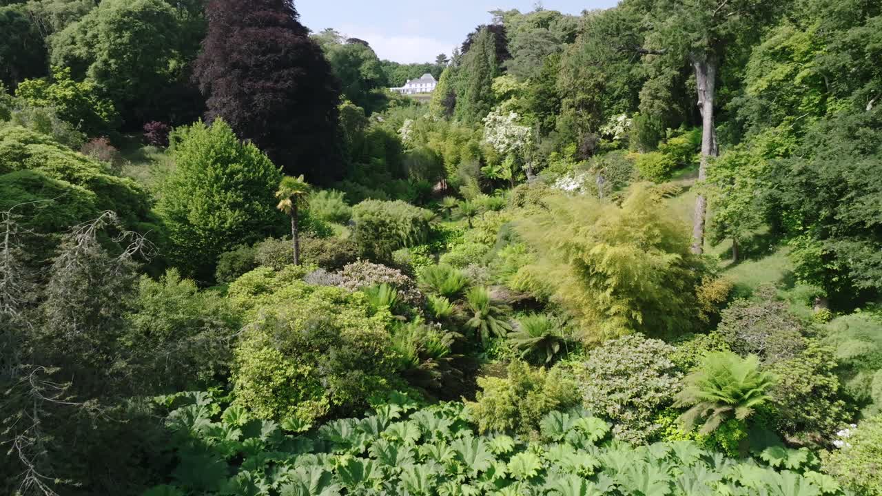 White mansion at head of tropical garden paradise in green tree lined valley on summer day. Slow reverse camera flight revealing more lush foliage.