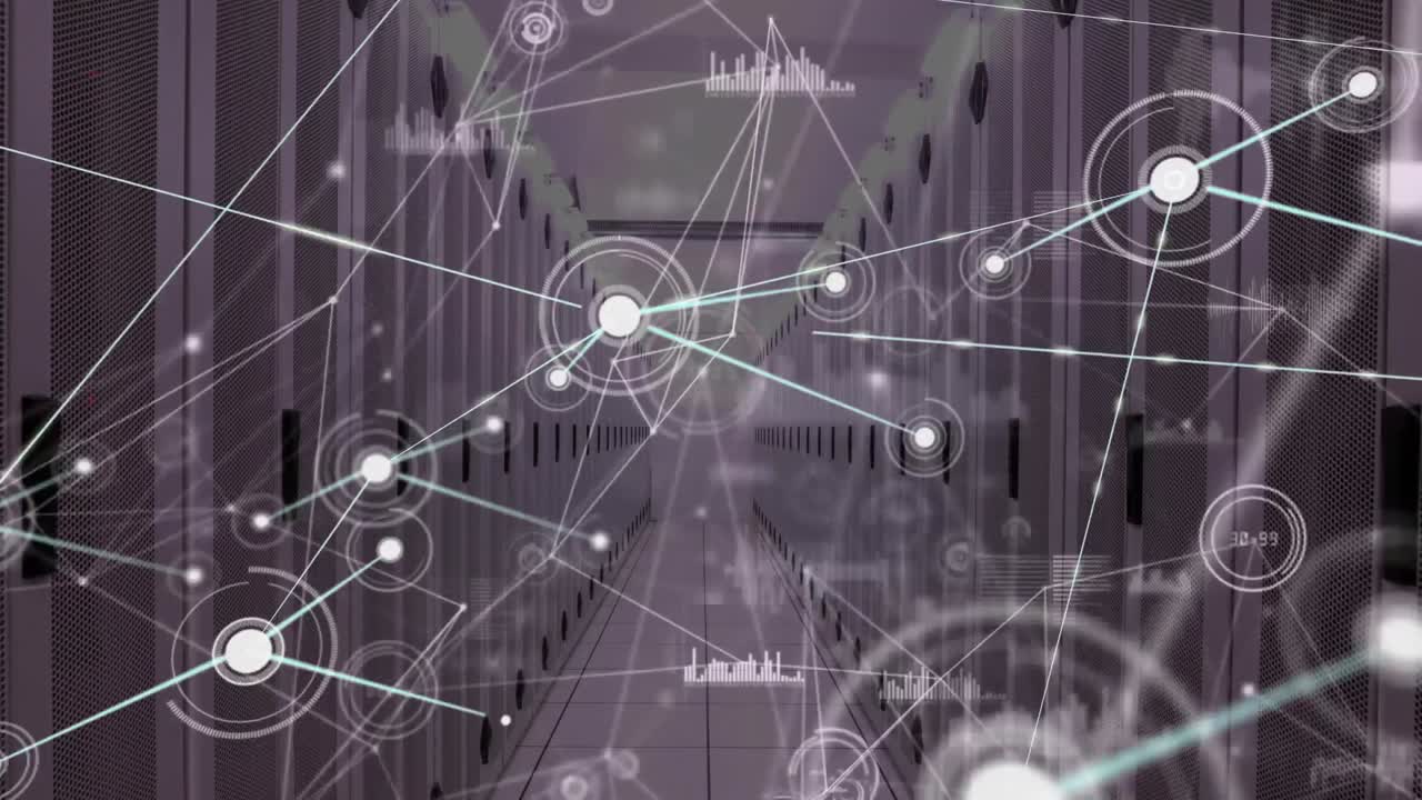 Animation of network of connections with data processing over computer servers