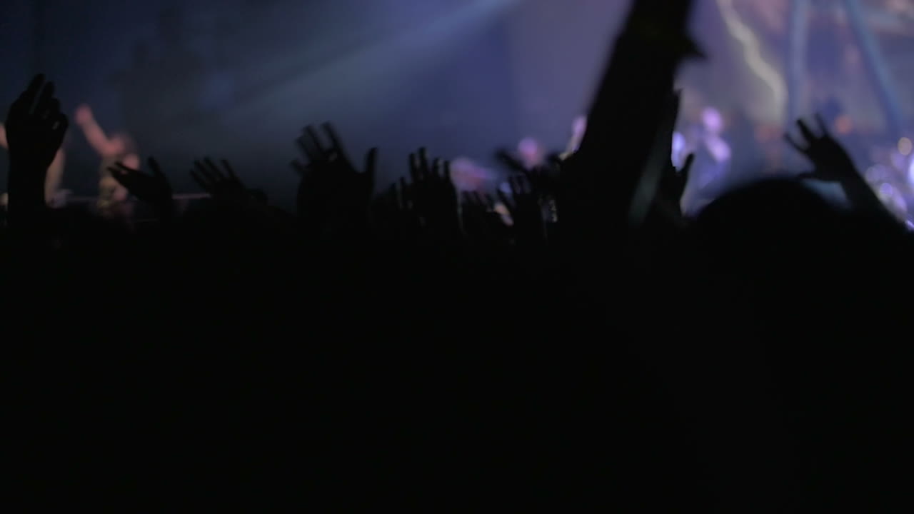 Fan che agitano le mani a un concerto
