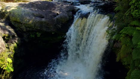 verdant forest surrounds the rio bravo waterfall in chiloe, sunlight dappling through
