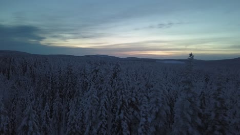 Die-Gefrorene-Winterlandschaft-Von-Hanhimaa-In-Finnland