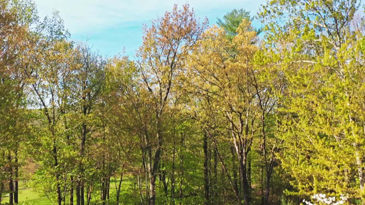 elevándose a través de los árboles en el norte del estado de nueva york, colores otoñales alt.