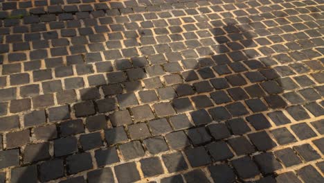 A-man-casting-his-own-shadow-while-standing-on-a-brick-street-pavement-as-other-people-pass-by-casting-their-own-shadows-as-well