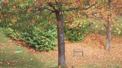 a rustic swing hangs from the sturdy branch of a tree, surrounded by the vibrant colors of an autumn landscape