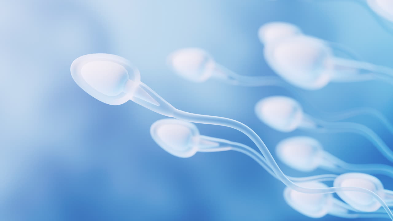 인간 정자 세포 3d 렌더링