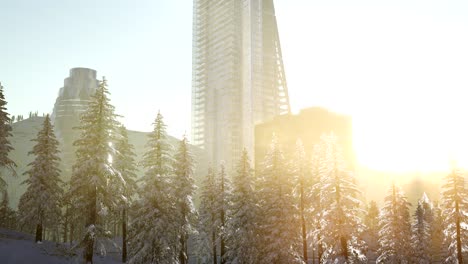 City-and-Forest-in-Snow