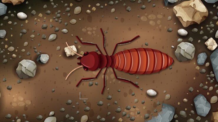 Detailed view of termite body parts in soil