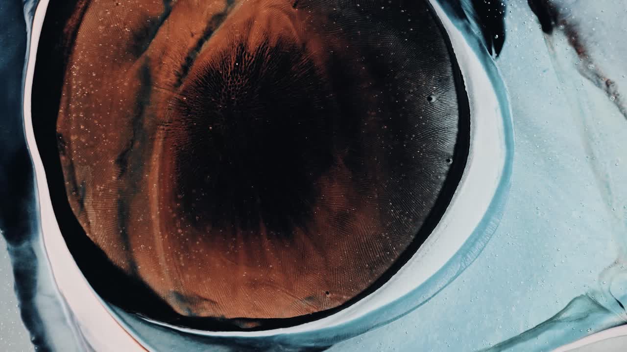 negro con líquidos de tinta multicolores en un fondo de movimiento abstracto