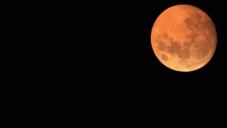detalle de primer plano de la puesta de luna llena, iluminada en el cielo nocturno