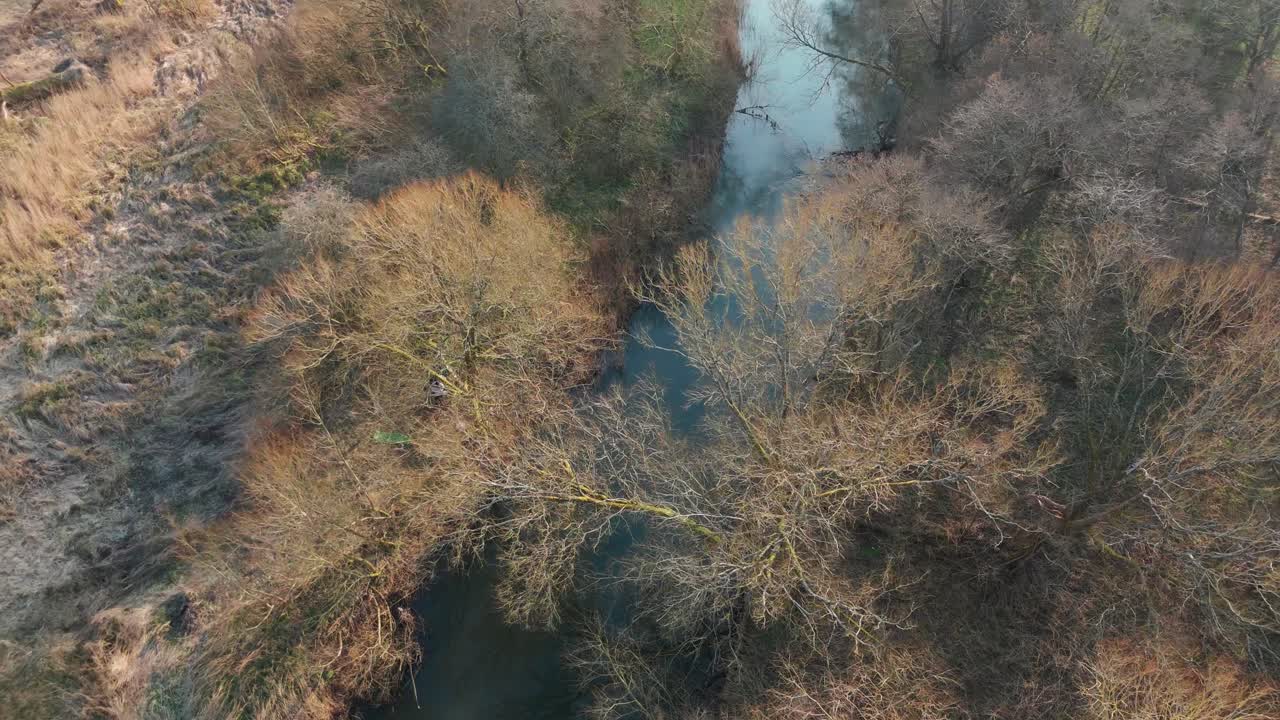Breckland forest with trees, river, and a tranquil landscape in norfolk, aerial view