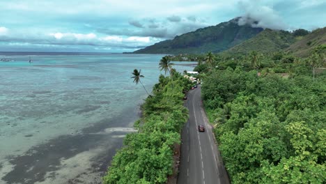 car drive on the coastal road in mo'orea south pacific island, french polynesia