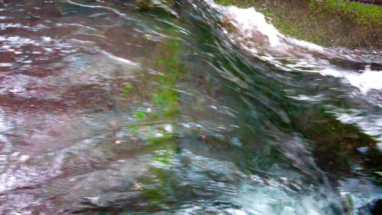 Fixed slow motion view of water flowing over bright green moss and rocks in Cuernavaca
