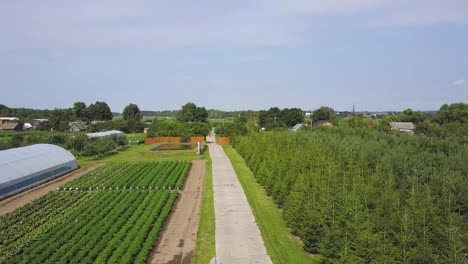rural farmland with greenhouse and vegetable fields