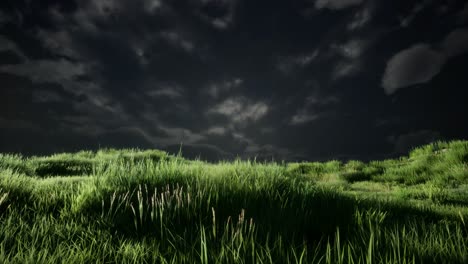 Nubes-De-Tormenta-Sobre-Pradera-Con-Hierba-Verde