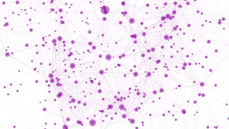 animación de conectividad de líneas de tecnología púrpura