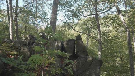 Piedras-En-El-Salto-Del-Amante,-Wissahickon-Creek