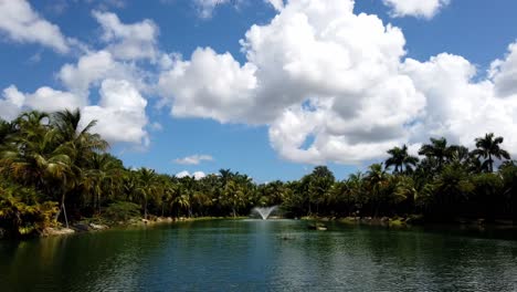 lasso di tempo di nuvole che rotolano su un lago circondato da tre palme, tempo in florida