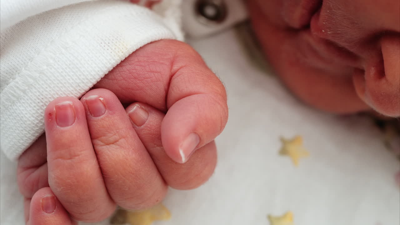 Close up of a newborn baby's tiny hand clenched in soft natural light while resting