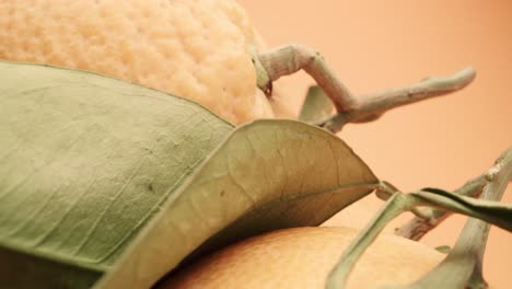 close up of oranges with green leaves on orange background