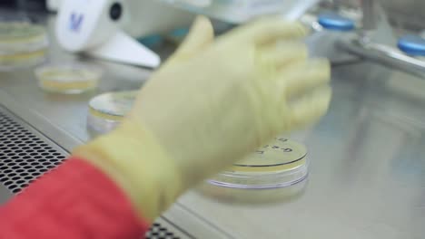 scientist hand writing on test beakers. hands in gloves working with test tubes