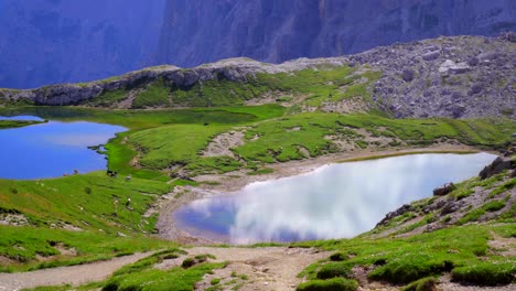 toma de seguimiento de un paisaje de montaña verde con dos hermosos lagos de montaña azul y algunas vacas pastando