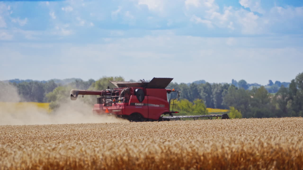 Agriculture machine harvesting crop. Working harvesting combine in the field of wheat