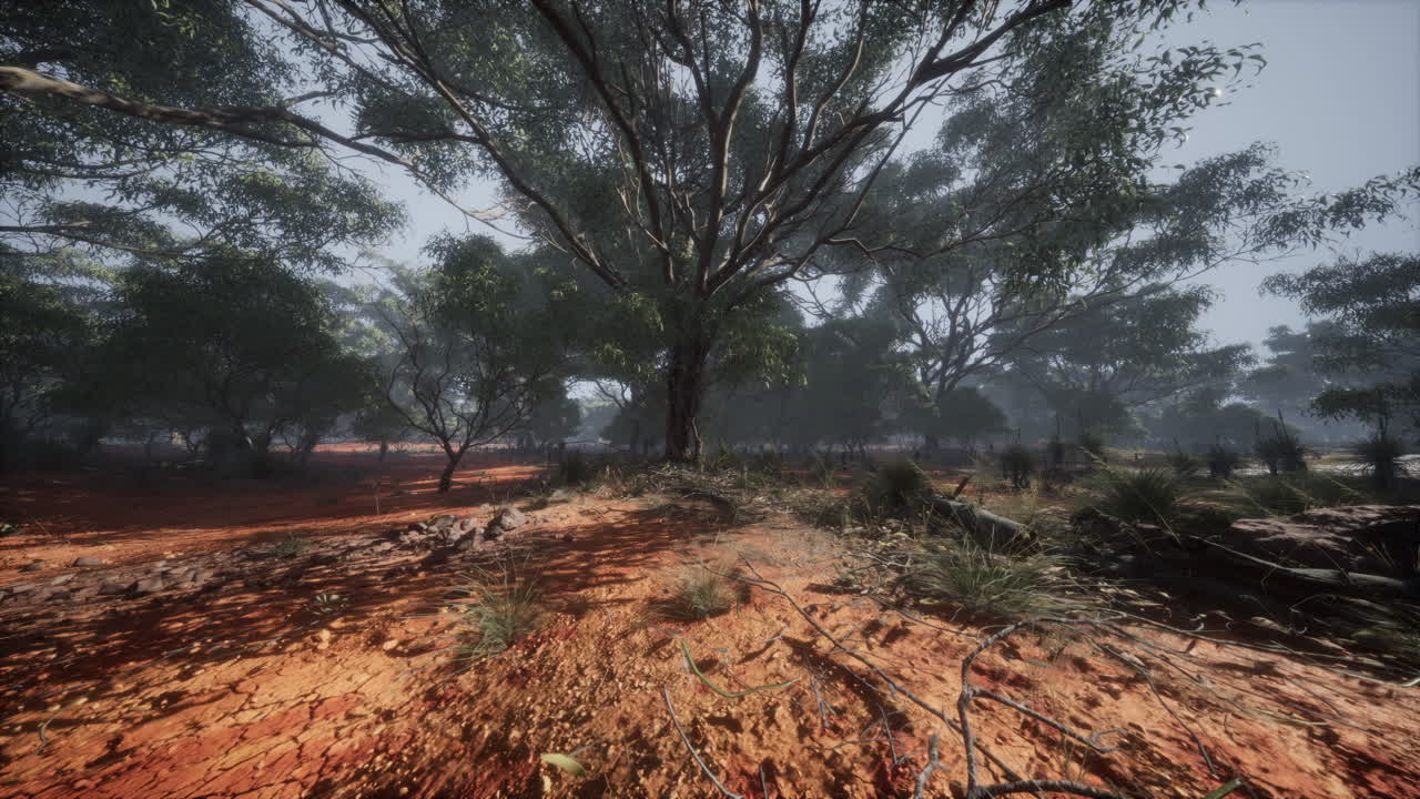 vegetación costera con árboles y arbustos