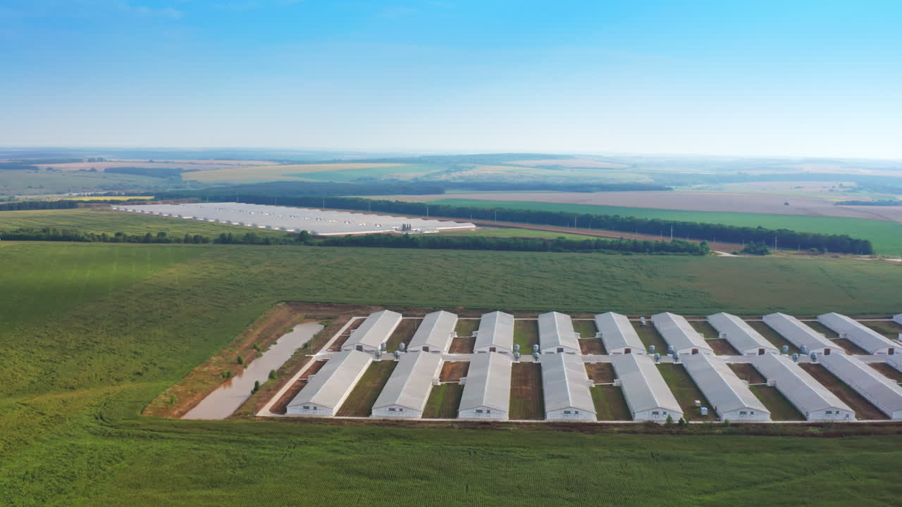 Aerial View of a Modern Poultry Farm