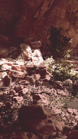 arid canyon landscape with rock formations and sparse vegetation