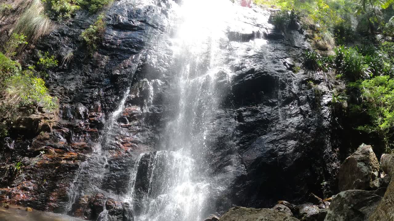 agua que fluye por una cascada de bosque rocoso