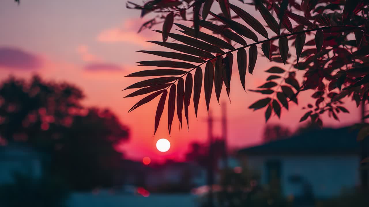 A Beautiful Sunset Framed by Lush Leaves: Capturing the Tranquil Blend of Nature at Dusk with Vibrant Hues of Red, Pink, and Purple Illuminating the Sky