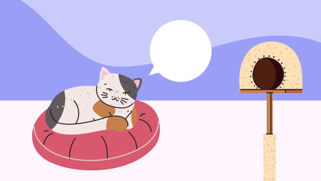 cute cat sleeping with speech bubble animation