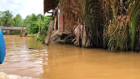 paseo en barco por el delta del mekong